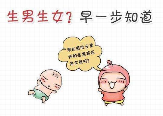 包生男孩电话-包生男孩电话:一个全新的沟通方式