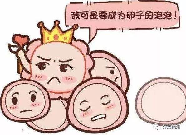 北京借卵代生_北京借卵代生:生育新选择