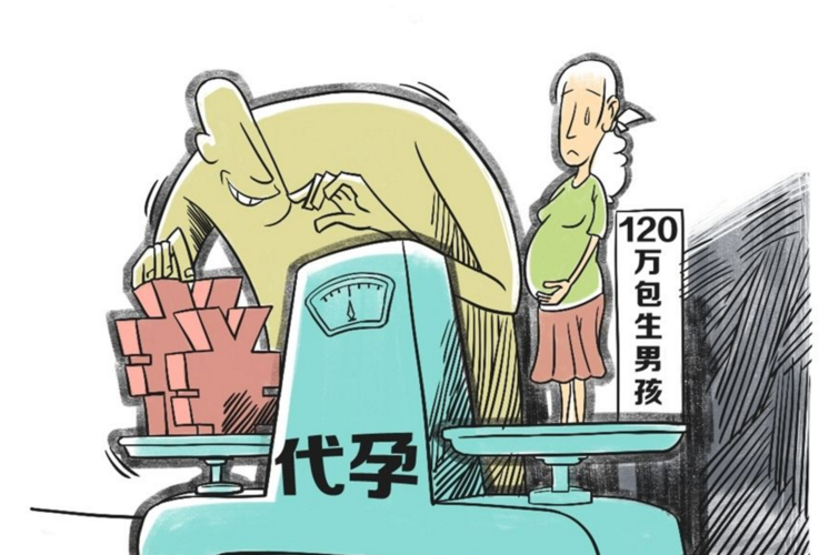 包生男孩指南【包生男孩指南:培养自信、独立和责任感】